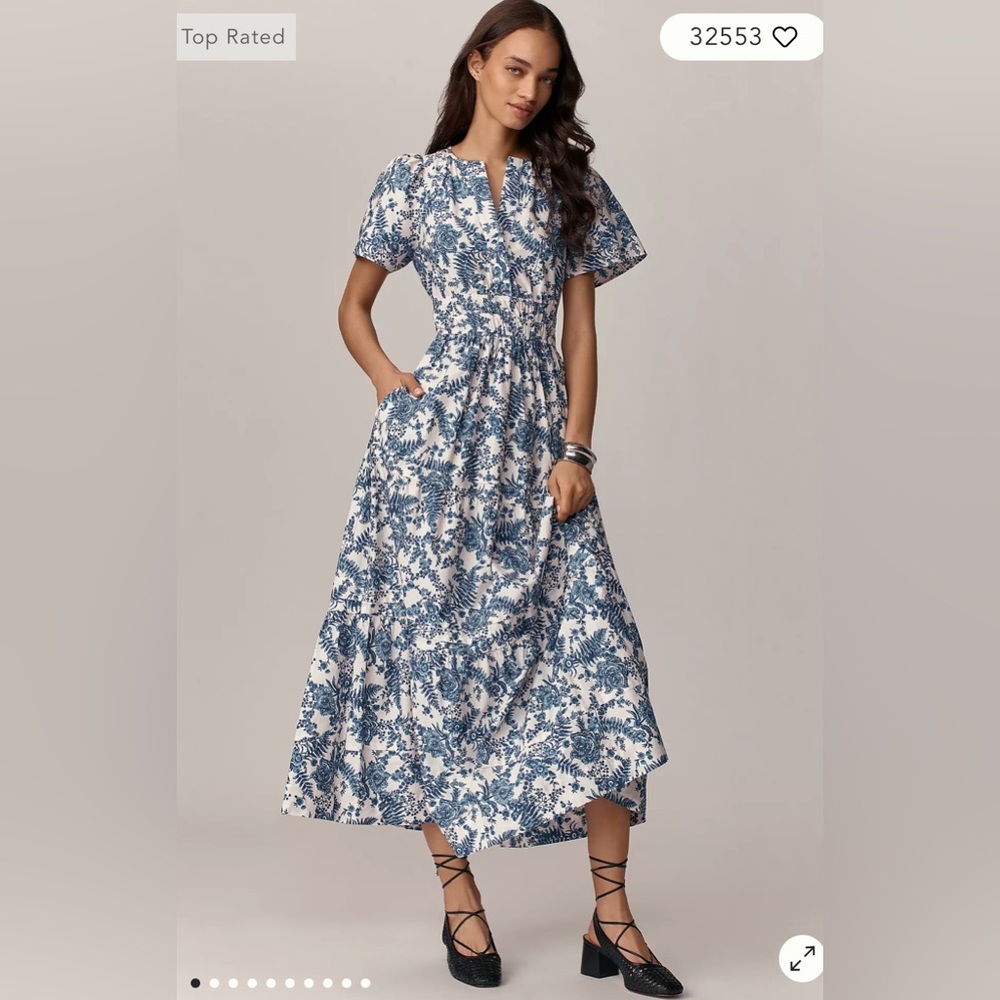 Anthropologie Blue and White Floral Somerset Maxi Dress